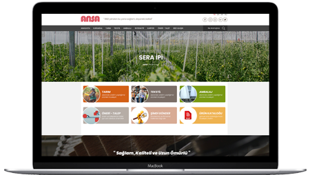Gaziantep web tasarım